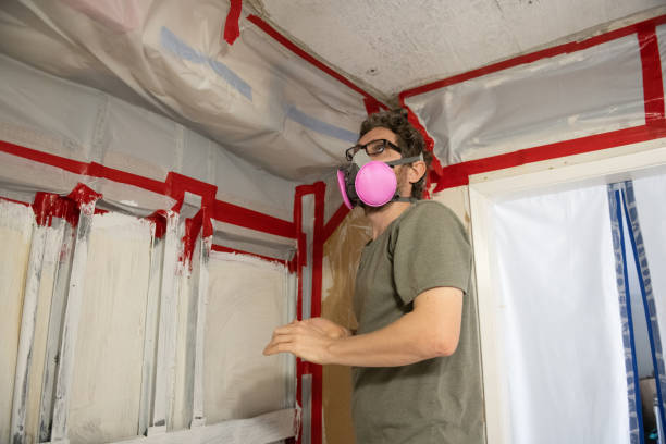 Best Comprehensive Air Testing for Mold Contaminants  in Plains, TX